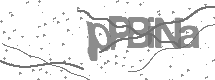 visual captcha